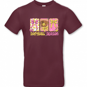 Softball Season – Bild 5